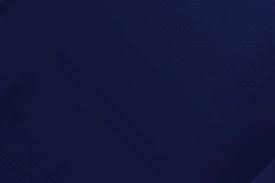 2025 赛季：洛杉矶道奇队宣布将在球场外建立大谷翔平与山本由伸的联合铜像