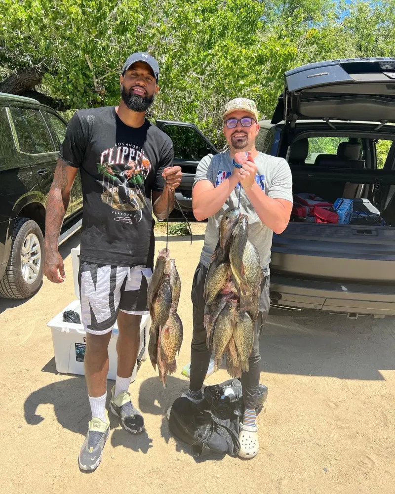 进一步增加 进一步增加